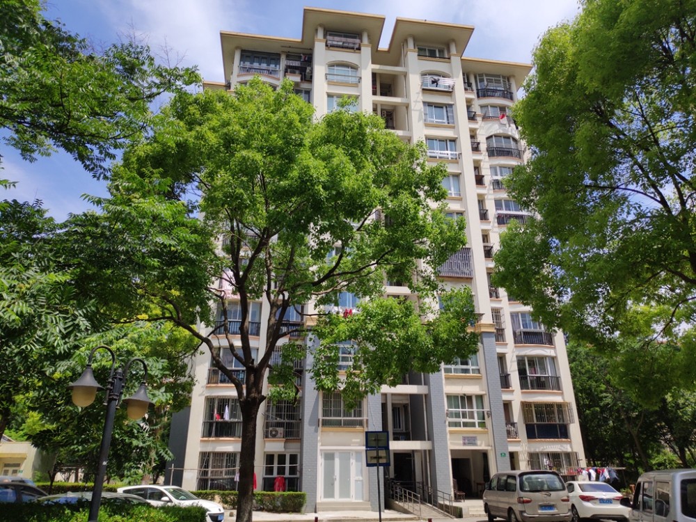 上海市浦东新区三林世博家园94栋6F 