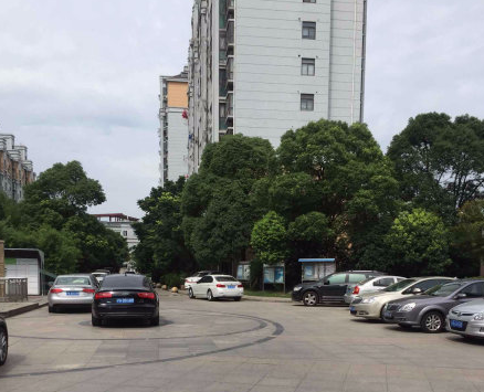 上海市宝山区丽景翠庭50栋8F 