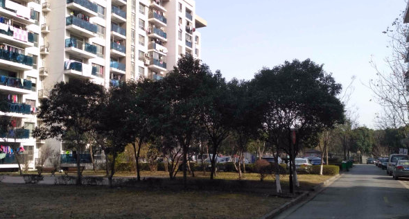 上海市闵行区银河新都12栋2F 