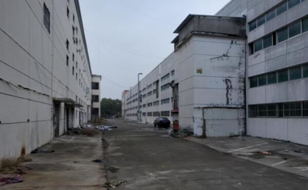 上海市松江区上海积旺产业园 玉树路857栋 