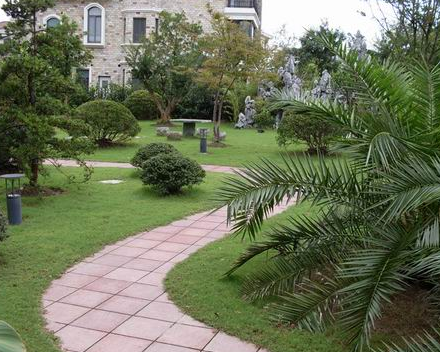 上海市浦东新区汤臣高尔夫别墅1栋东区 