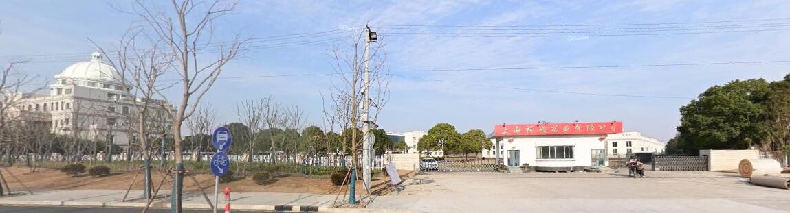 上海市浦东新区上海祥鹤药业有限公司4199栋1-8幢及相关机器设备等 