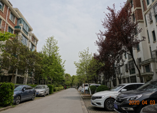 上海市松江区金港花园21栋5F 