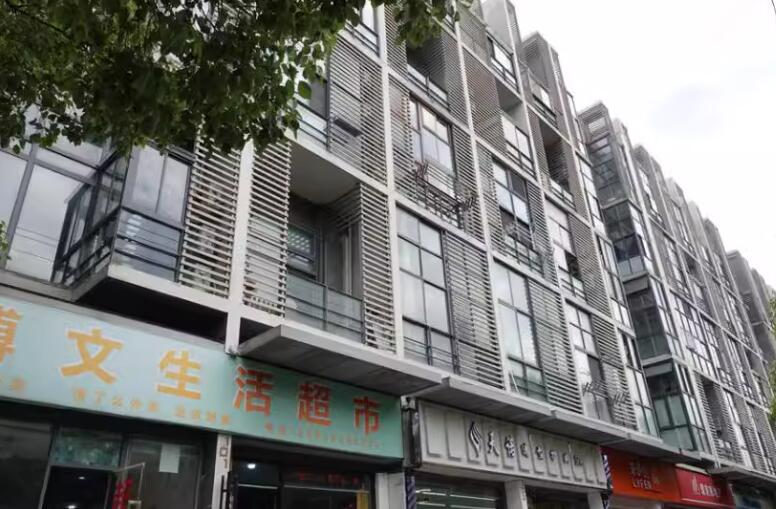 上海市闵行区新浦江城四期LOFT1266号420室 