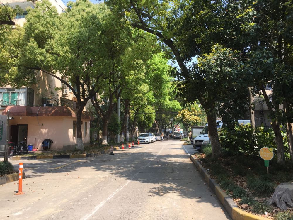 上海市杨浦区市光四村173栋5F 