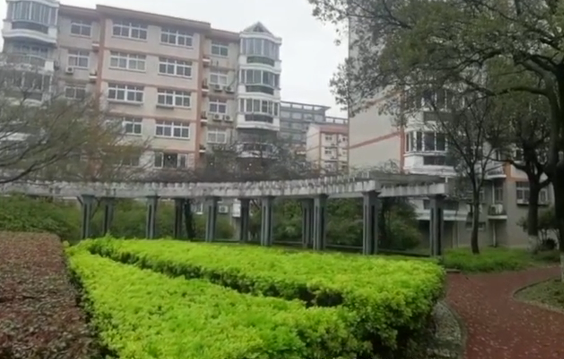 上海市金山区 山鑫阳光城102栋6F 