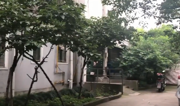 上海市宝山区月浦六村18栋5F 