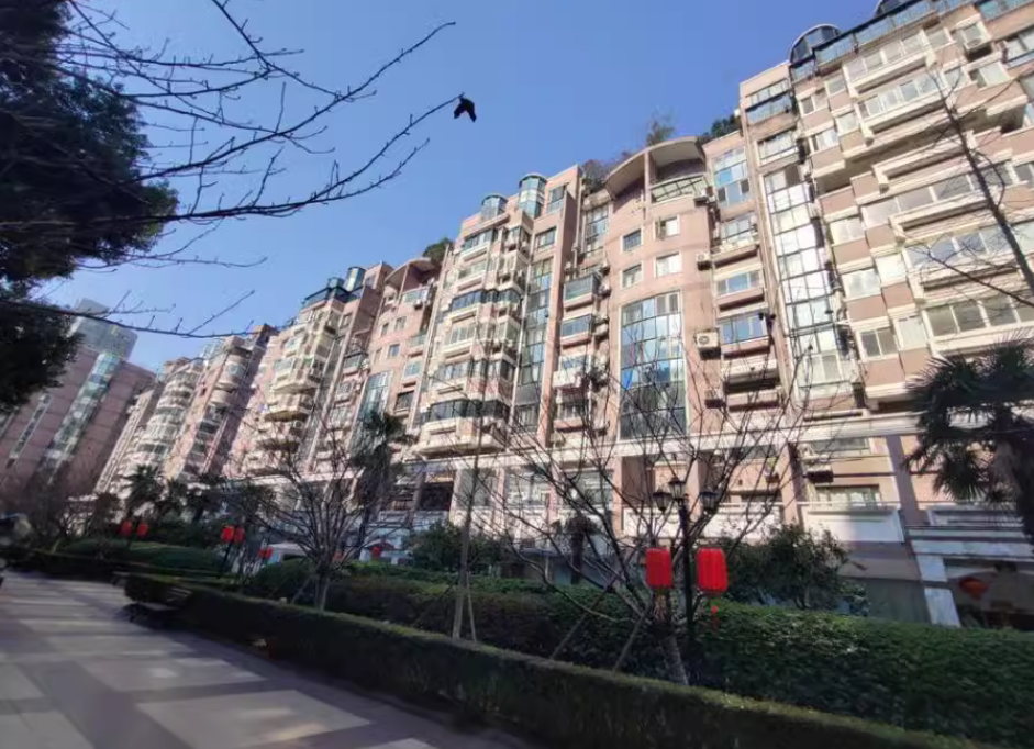 上海市长宁区鹿特丹花园8栋7F 