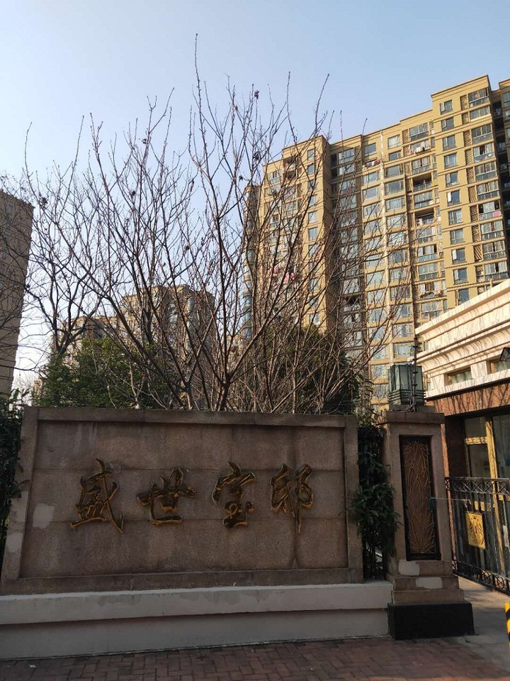 上海市宝山区盛世宝邸11栋8F 