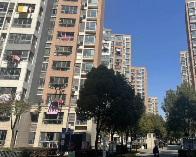 上海市青浦区崧文苑19栋11F 