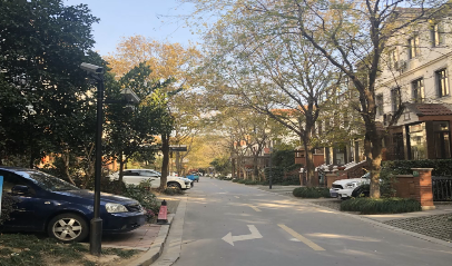 上海市闵行区合生城邦四街坊19栋1-3F 