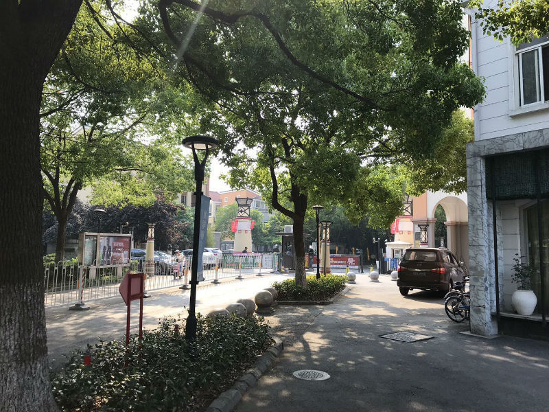 上海市闵行区碧林湾98栋5F 