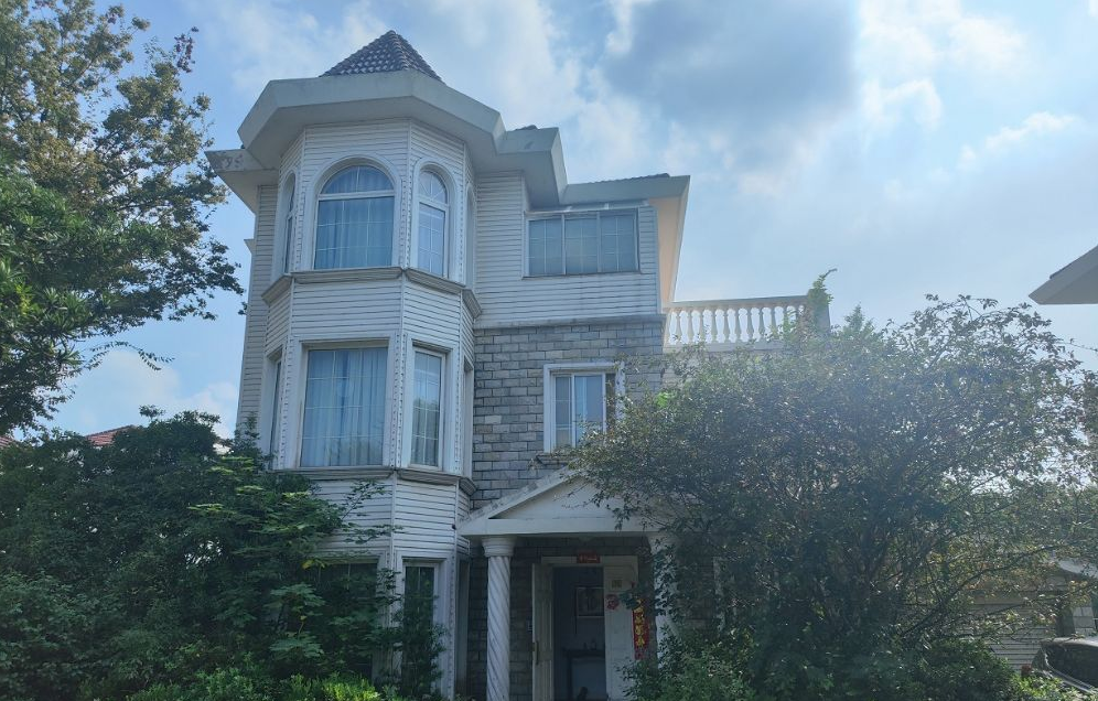 上海市青浦区上海威尼斯花园金泽镇19栋全幢 