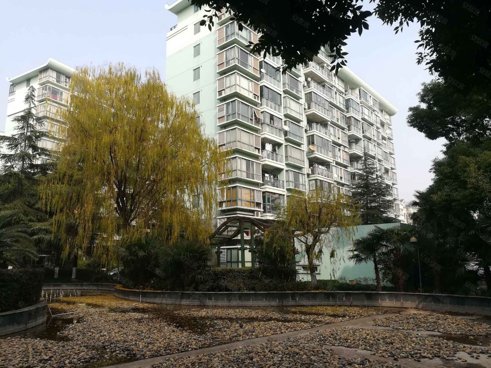 上海市闵行区金汇丽舍15栋8F 