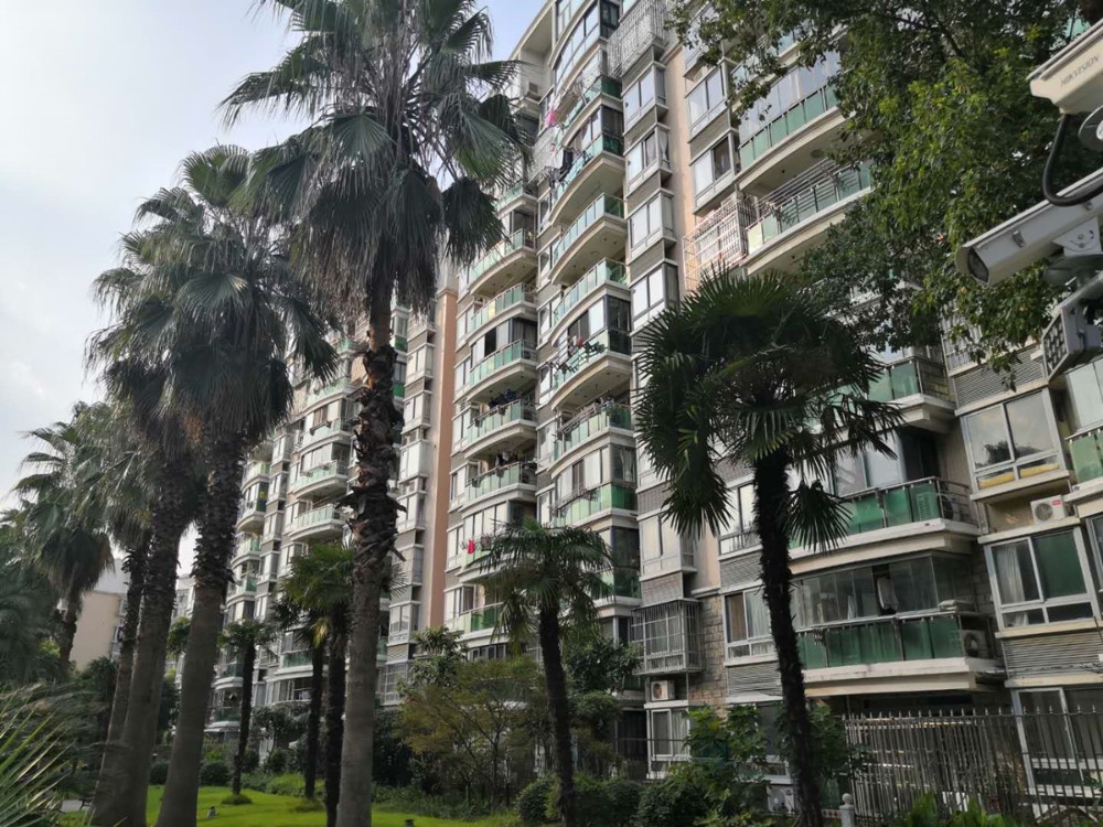 上海市嘉定区汇丰佳苑16栋3F 