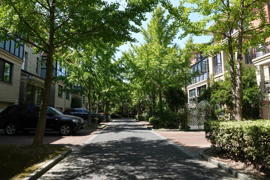 上海市松江区原野花园93栋全幢 