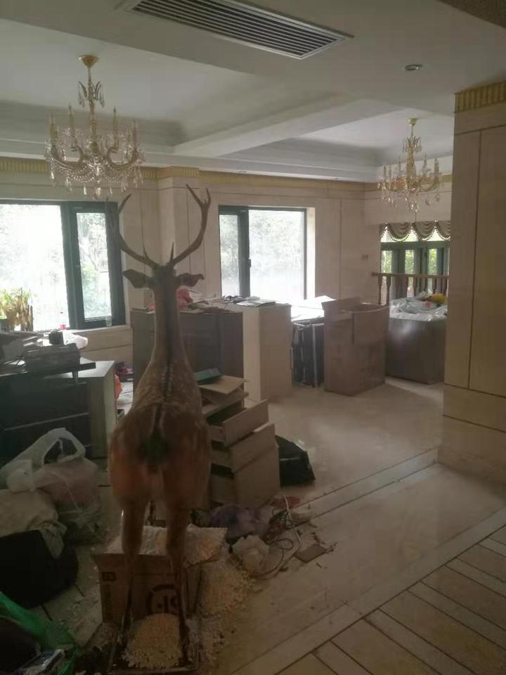 上海市松江区中大九里德九亭镇12栋 