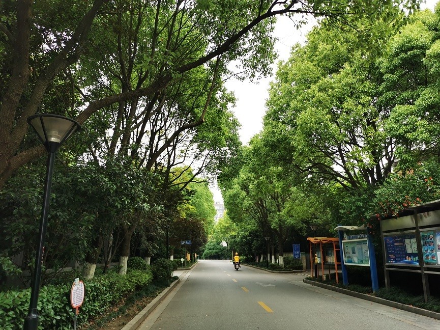 上海市闵行区一品漫城150栋1F 