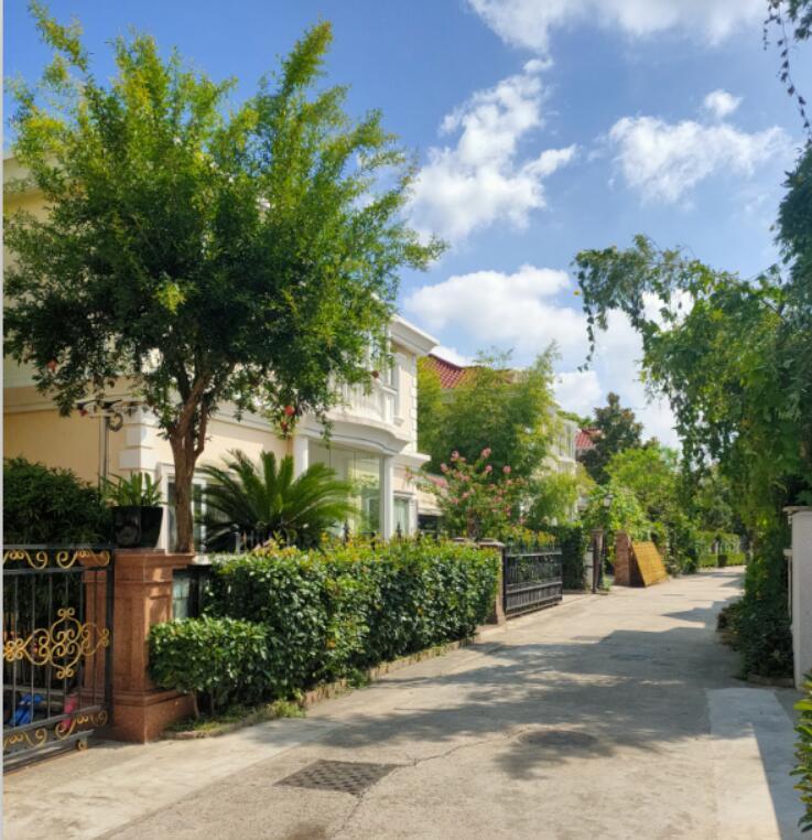 上海市徐汇区牡丹园176栋 