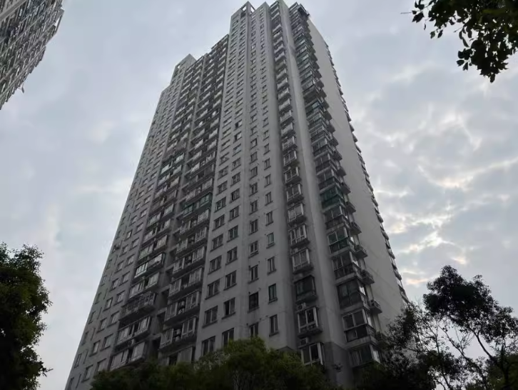 上海市杨浦区城市名园13栋1F 