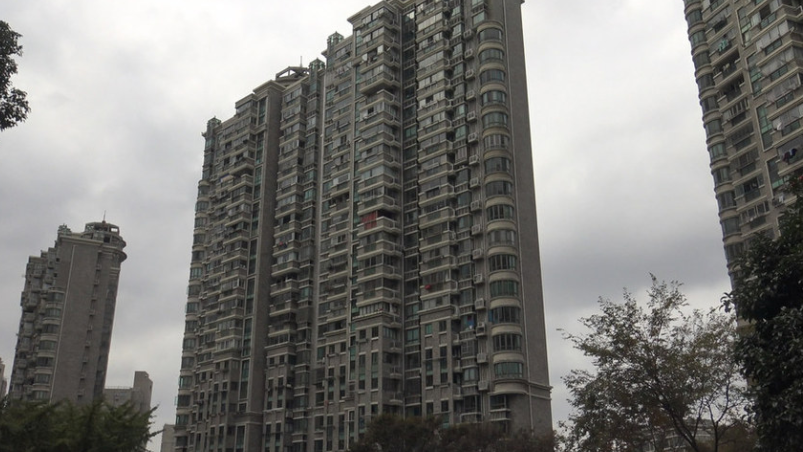 上海市普陀区阳光建华城16栋1F 