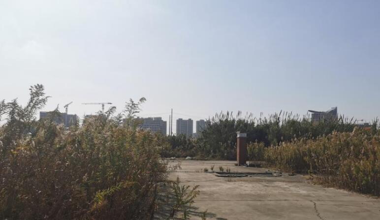 上海市青浦区盈中村盈中村（5/1丘）地块 