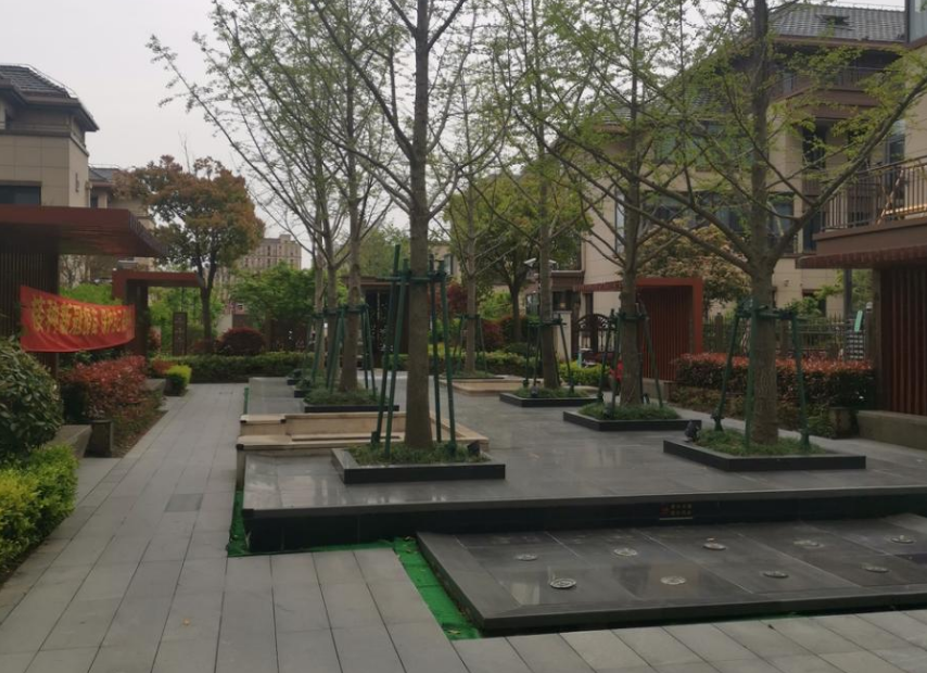 上海市浦东新区碧桂园浦东星作5栋8F 