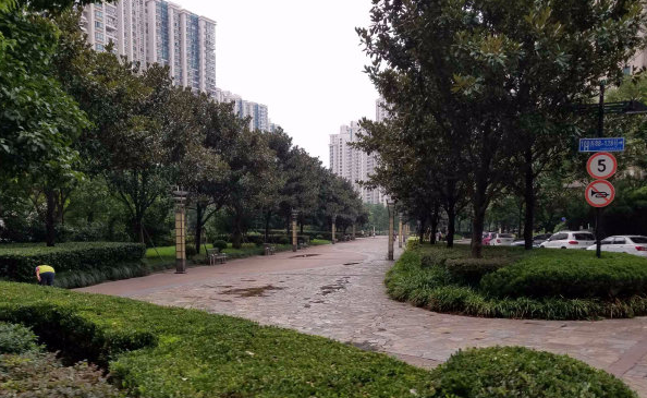 上海市普陀区中远两湾城98栋25F及8车位 