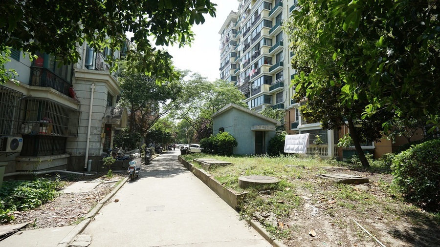 上海市松江区润和苑12栋9F 