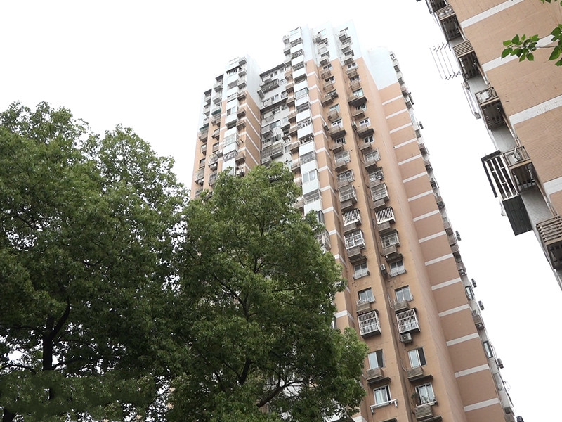 上海市普陀区平江盛世家园1栋16F 