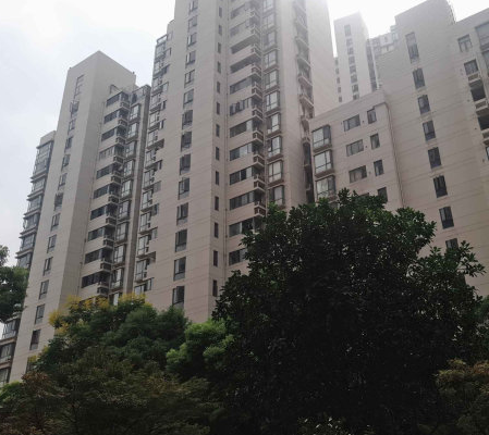 上海市普陀区新湖明珠城15栋32F 