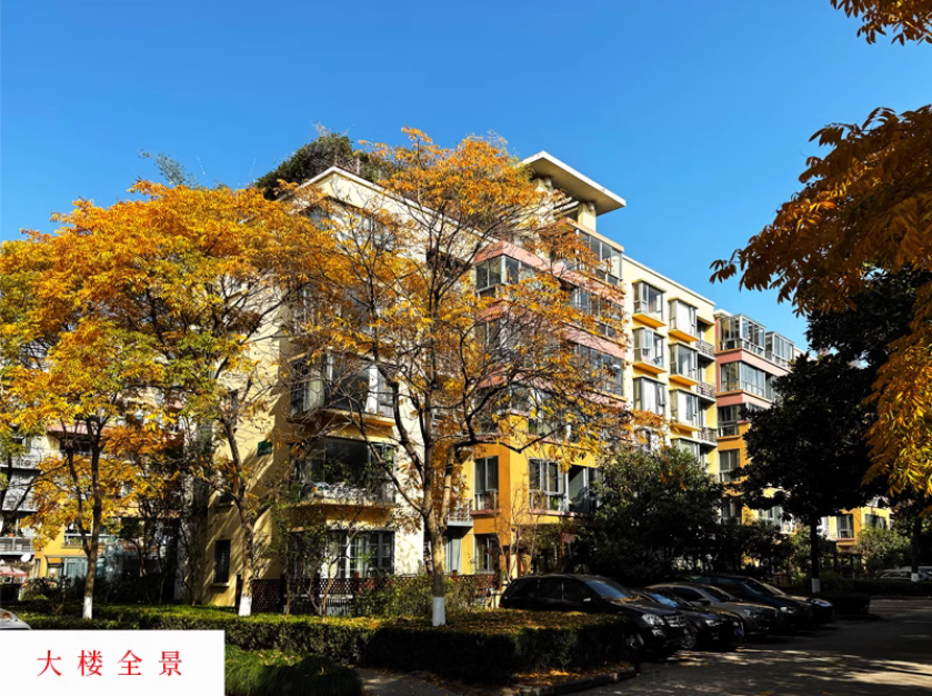 上海市闵行区万科假日风景26栋3F 