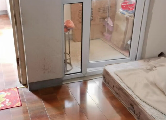 上海市浦东新区宣桥枫庭11栋3F 