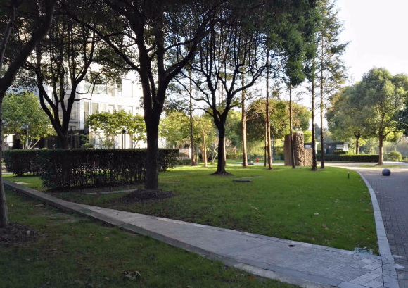 上海市浦东新区未来域城35栋4F及地下车库 