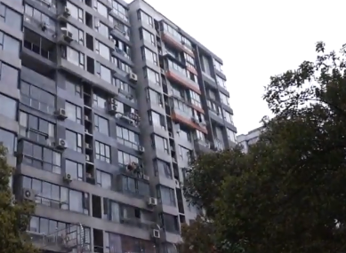 上海市宝山区中环一号55栋6F 