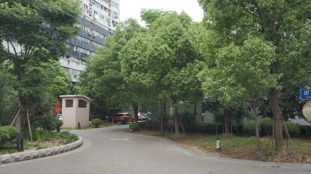 上海市闵行区万顺水原墅245栋11F 