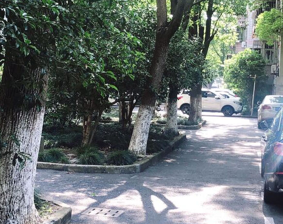 上海市浦东新区东城花苑一村14栋4F 