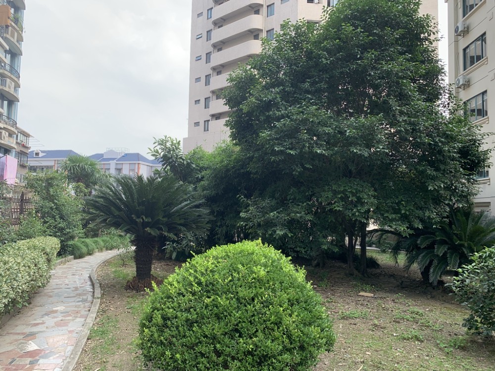 上海市黄浦区阳光公寓3栋7F 