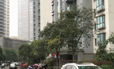 上海市普陀区逸流公寓12栋17F 