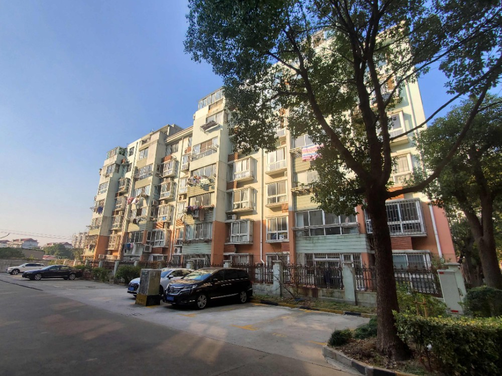 上海市浦东新区童港七村怡心院20栋6F 