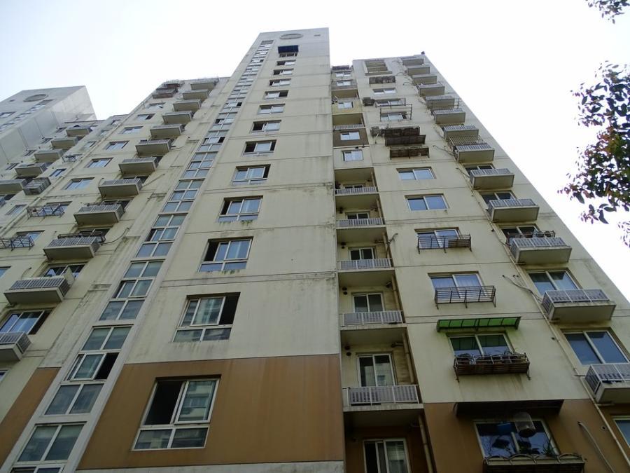 上海市普陀区安居古浪新苑-东区5栋12F 