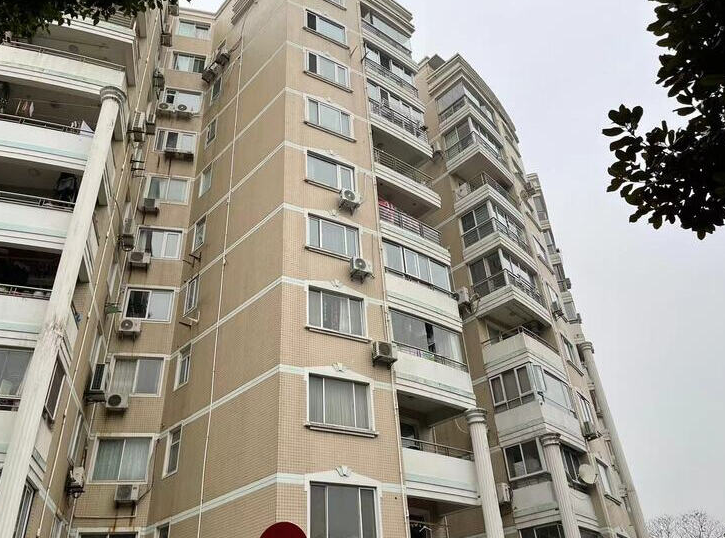 上海市闵行区苹果园59栋6F 