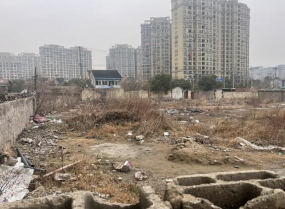 上海市浦东新区周浦镇35街坊地块周浦镇35街坊1/20丘地块 