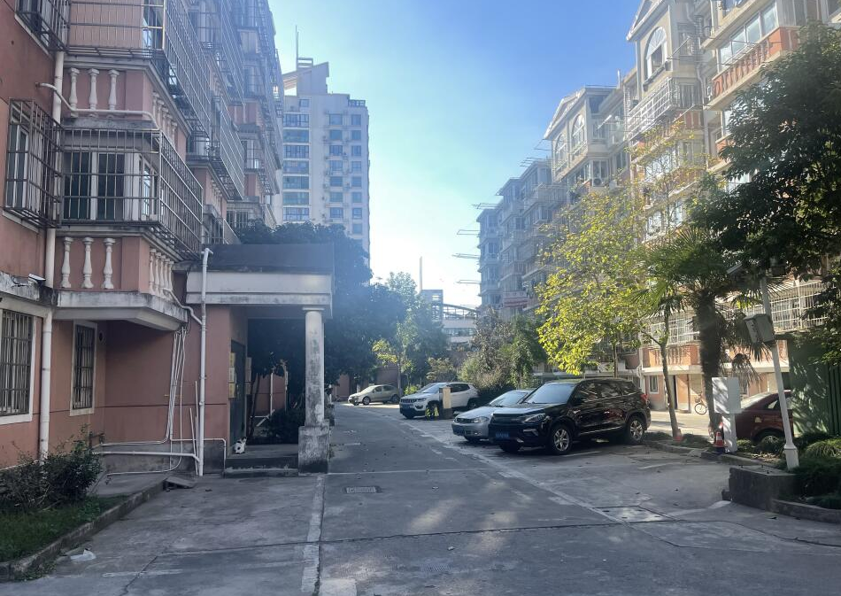 上海市奉贤区浦南园6栋1F 