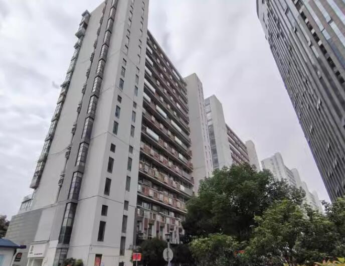 上海市松江区九久青年城143栋11F 