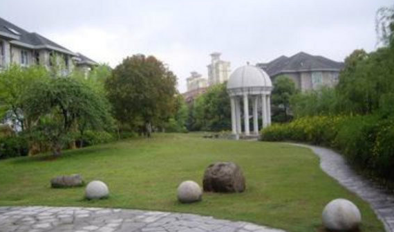 上海市闵行区樱园498栋 