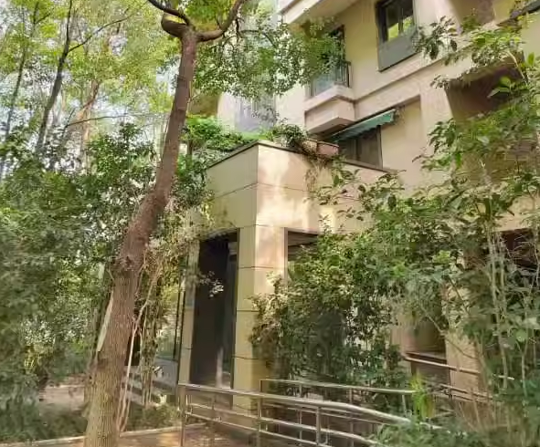 上海市普陀区中鹰黑森林40栋3F 