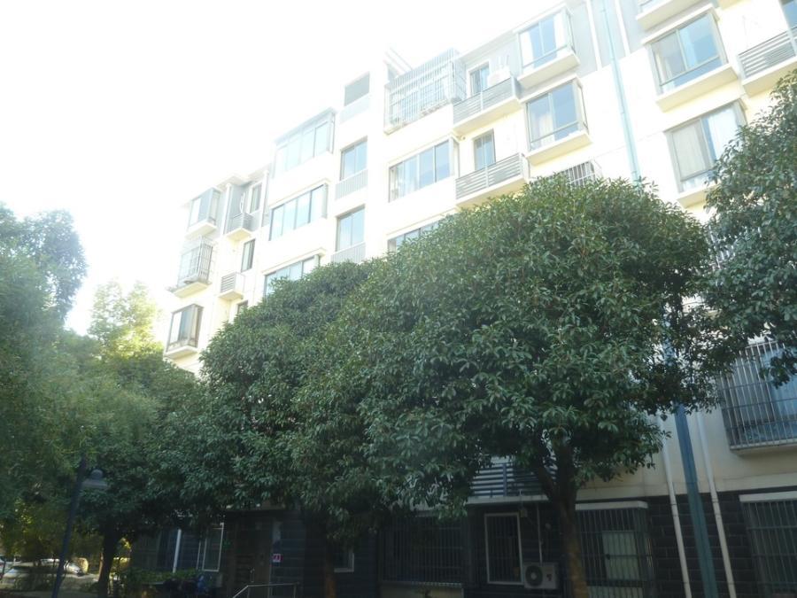 上海市闵行区江南星城31栋5F 