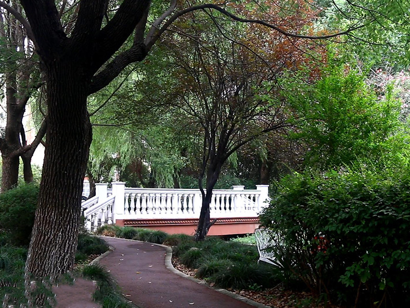 上海市闵行区金竹园17栋5F 