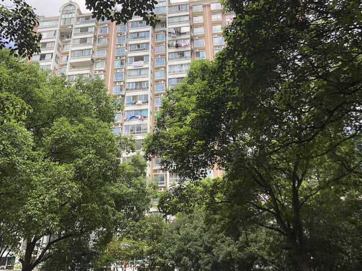 上海市松江区龙祥公寓11栋17F 